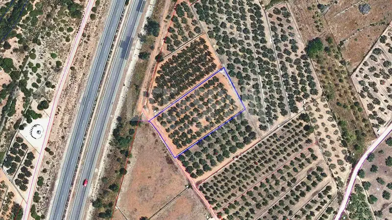 Terreno con Olivar Ecologico en Freginals Tarragona