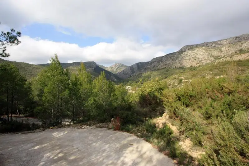 Parcelas Rusticas en Venta Pedreguer