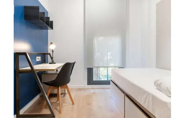 Alquiler Habitacion Sevilla Campus Reina Mercedes