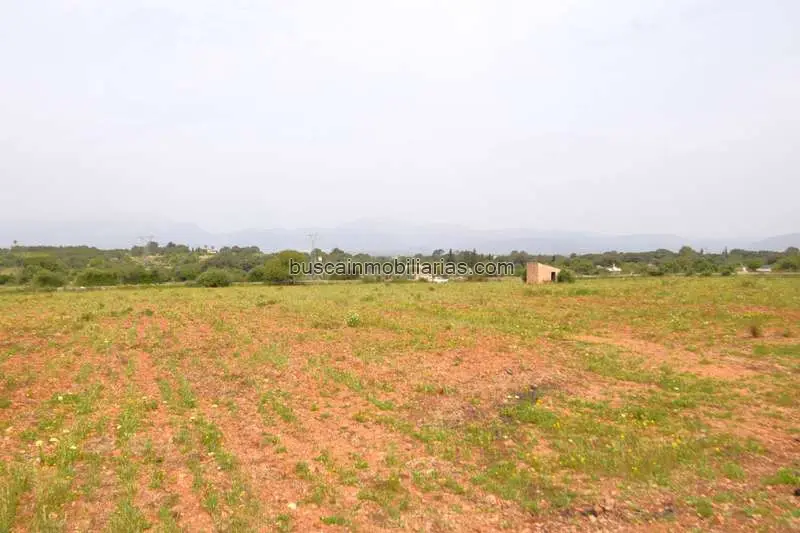 Parcelas Rusticas en Venta Llubi Mallorca
