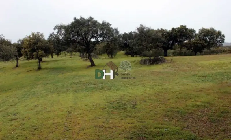 Venta Finca Rustica 195 Hectareas Caceres Ganaderia Caza