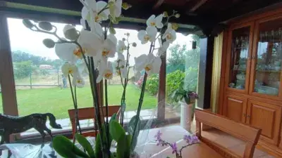 Chalet en Venta Ribamontán al Mar cerca de Santander