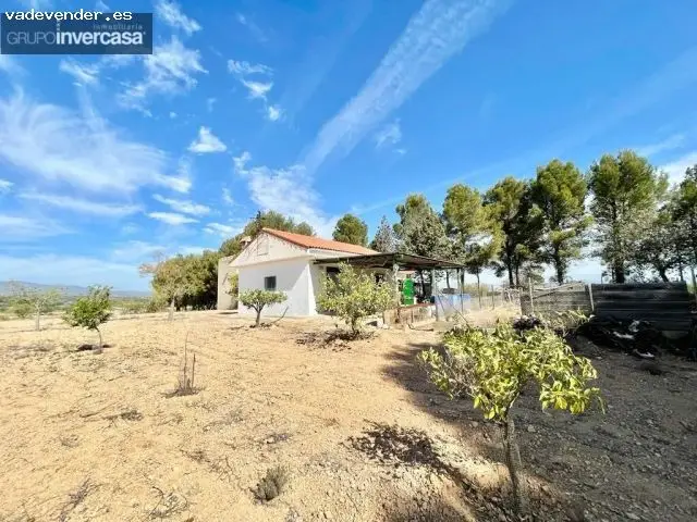 Chalet Rustico en Cheste con Gran Parcela y Abundante Flora y Fauna