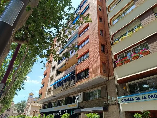 Piso 5 Dormitorios Murcia Centro  Avenida Alfonso X