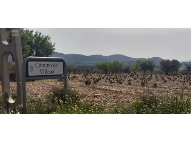 Finca Rustica Edificable Salinas Alicante