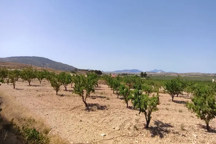 Villa 3 Dormitorios en Venta Pinoso