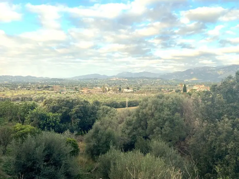 Venta Terreno con Vistas en Campanet