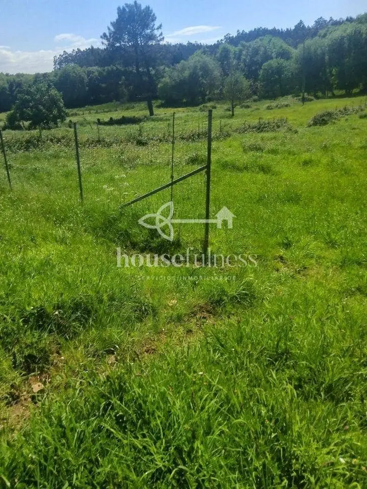 Terreno/Finca Rústica en venta en Narón, A Coruña