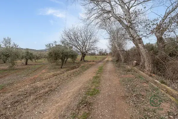 Finca Rustica Albolote 093ha Ideal Recreo