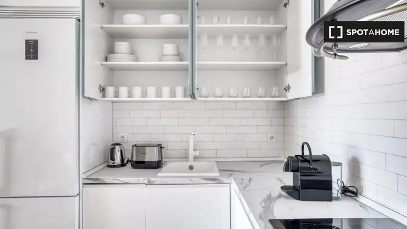 Apartamento en Madrid 1 Dormitorio 1 Baño Spotahome