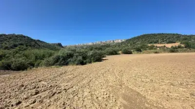 Finca Rustica en Venta en Baden