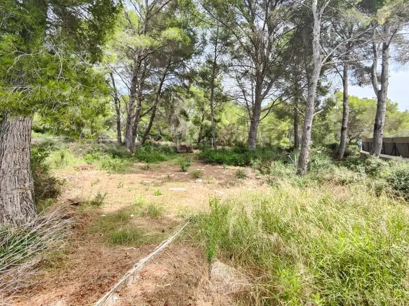 Solar/Parcela en venta en Son Parc, Es Mercadal, Menorca