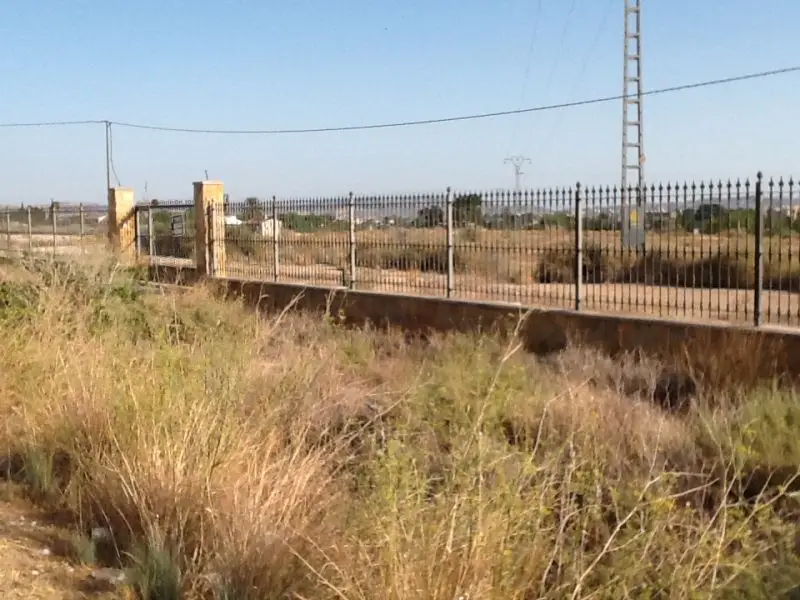Venta Parcela 10000m2 Novelda