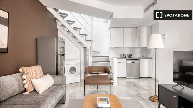 Apartamento 1 Dormitorio Amueblado Madrid