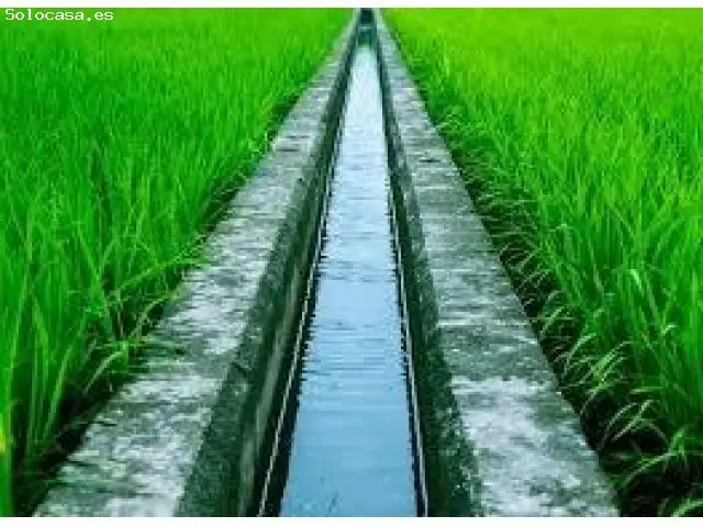 Fincas Agricolas Regadio San Lorenzo Del Flumen 40 Ha