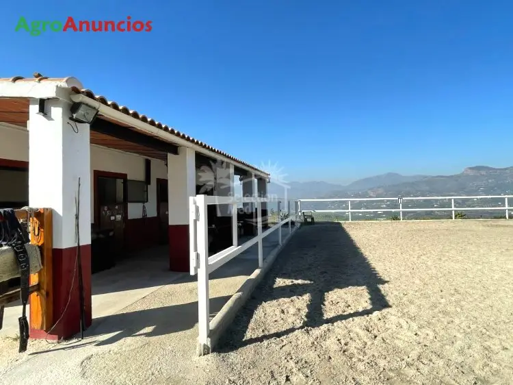 Venta  de Finca ecuestre en Málaga