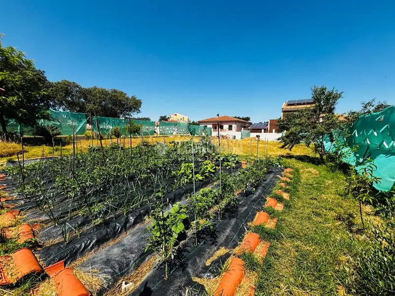 Terreno en Venta Mirandilla 606m2 Urbanizable