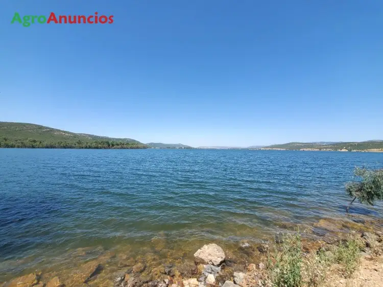 Venta Finca 100 Hectareas Ciudad Real