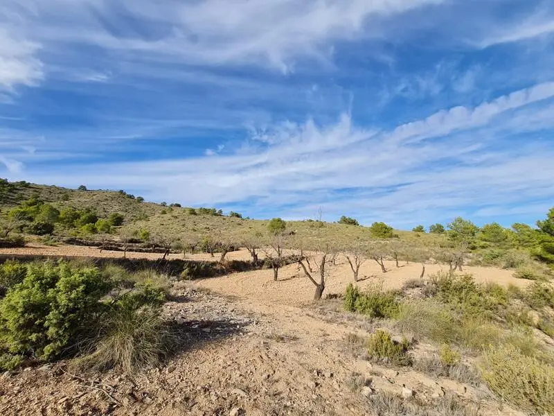Terreno en Venta Raspay Murcia 5000m2 Vistas Panoramicas