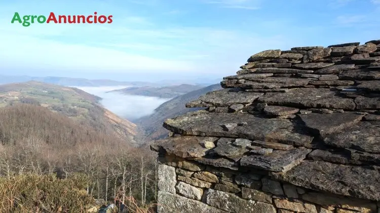 Venta  de Finca rustica edificable en Cantabria