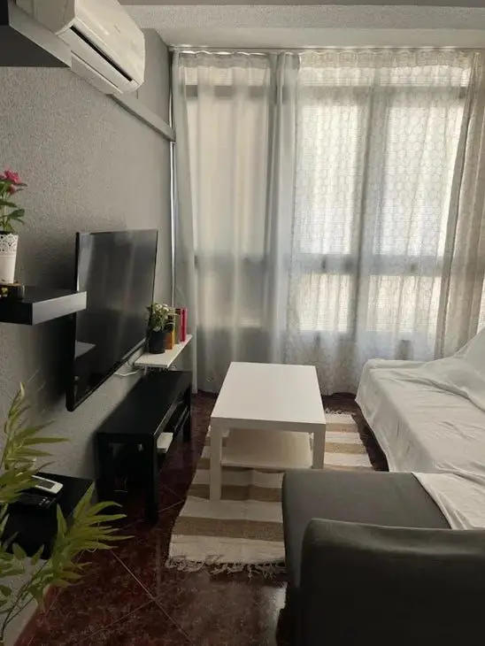 Apartamento 1 Dormitorio Malaga Centro
