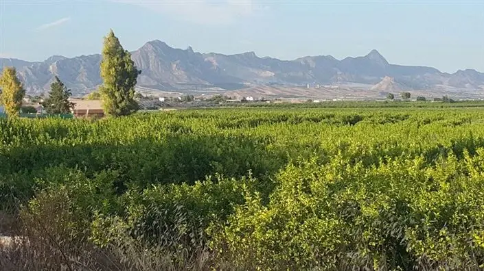 Villa de 4 Dormitorios en Venta Cerca de Fortuna