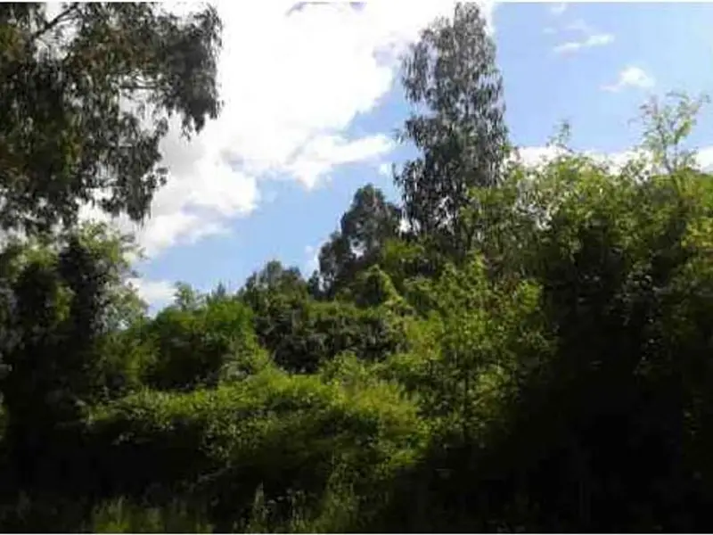 Terreno Rústico en Venta Bergondo A Coruña 2200m2