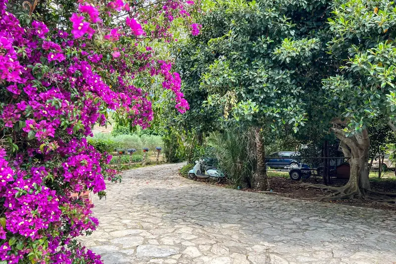 Chalet en Venta Capdepera Mallorca 5 Dormitorios Piscina Jardin