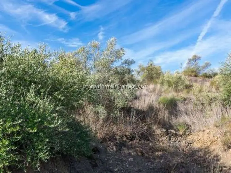 Parcela Rustica en Venta entre Competa y Torrox