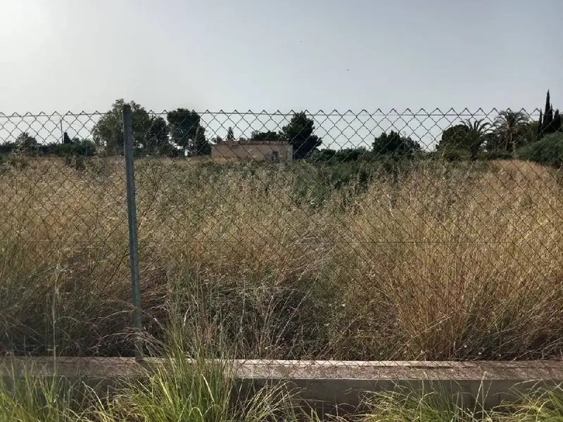 Venta Finca Rustica Campillos Crevillent 6900m2