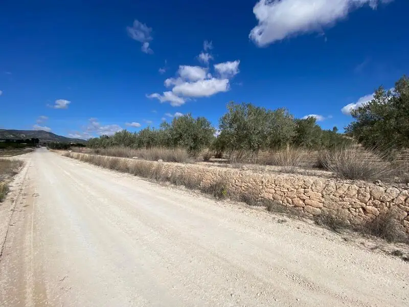 Terreno en Venta Pinoso Alicante 20357m2 Casa Cueva