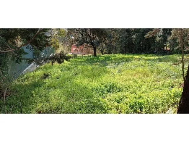 Parcela en Venta Monte Calderon El Casar 1533m2