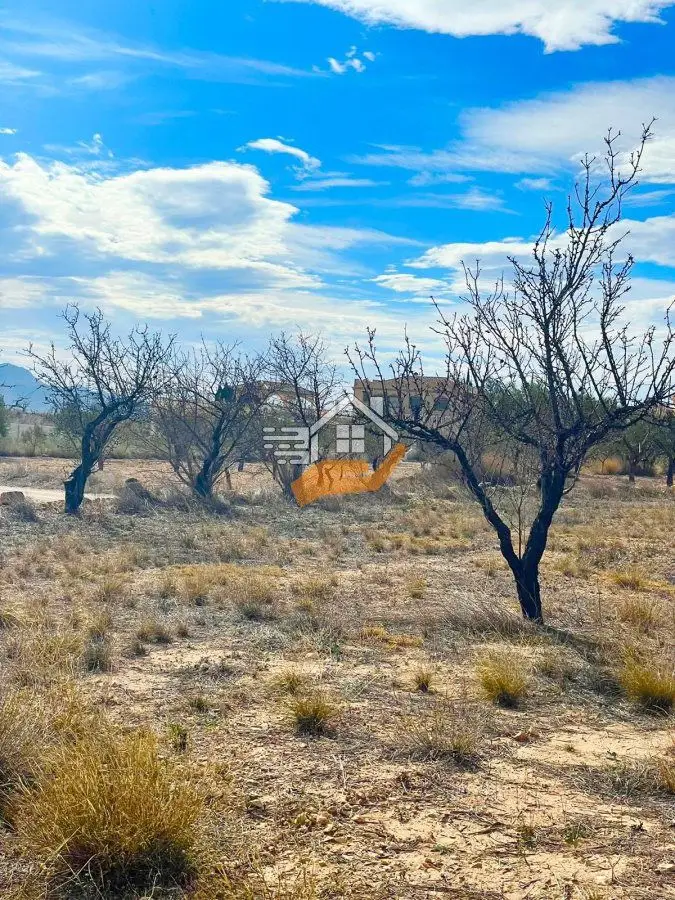 Venta Terreno 3000m2 Macisvenda Abanilla