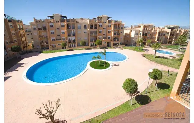 Alquiler Apartamento 1 Dormitorio Molina de Segura