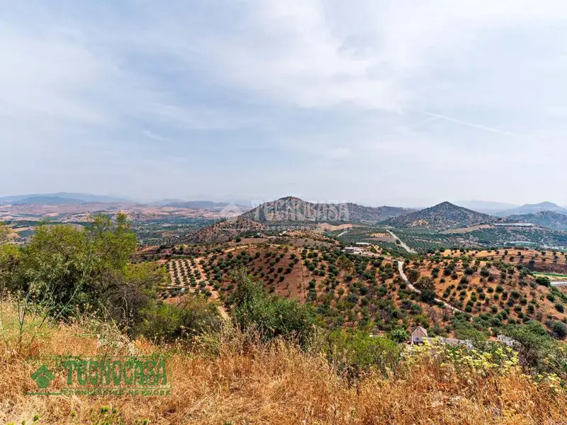 Terreno en Venta en Guaro 10556m2