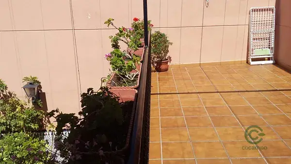Casa en Almendralejo con Pozo, Patio y Trastero