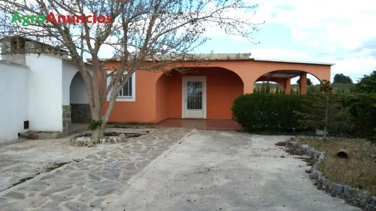 Venta  de Finca con naves avícolas y picadero en Valencia