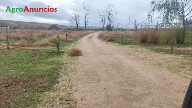 Venta  de Finca de recreo en Toledo