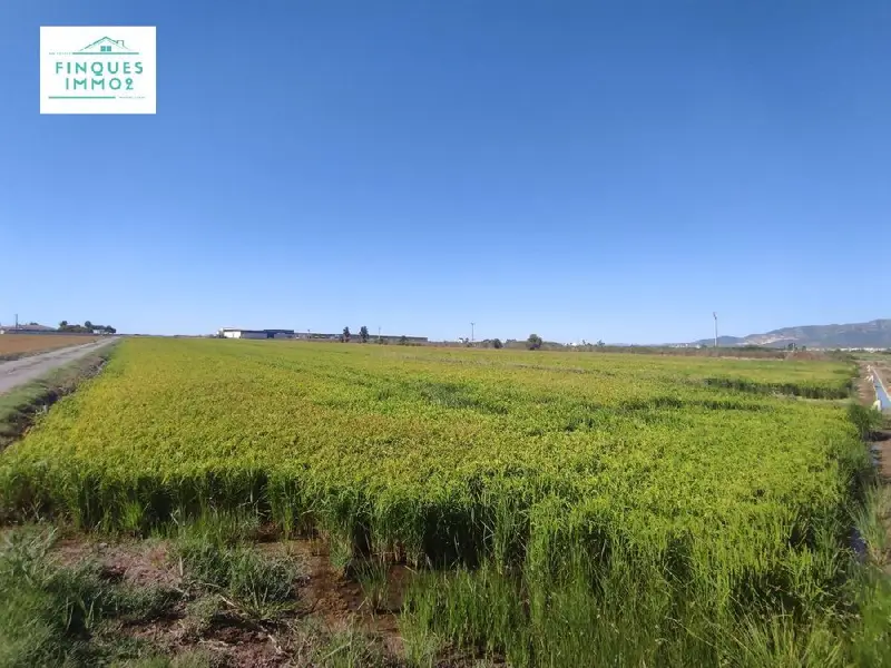 Venta Finca Rustica Regadio Delta Ebro 5790m2
