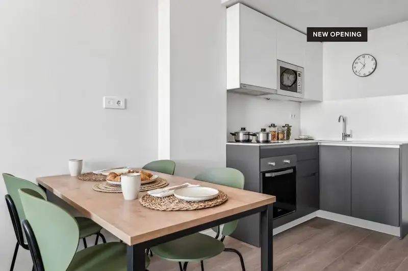 Apartamento 1 Dormitorio 1 Baño en Madrid