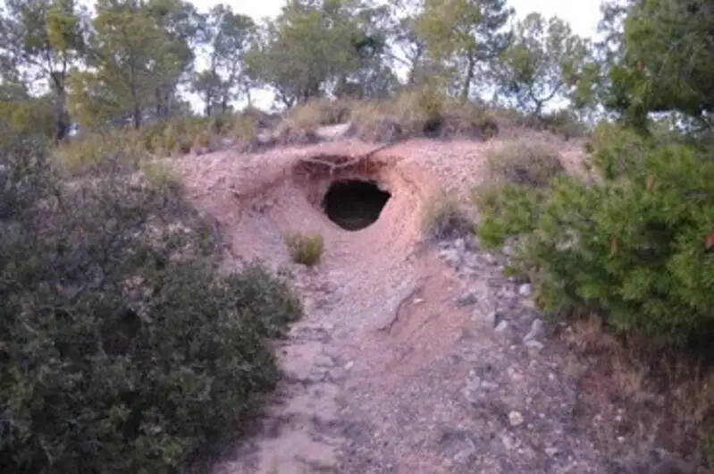 Terreno Rustico con Almendros en Sierra del Carche