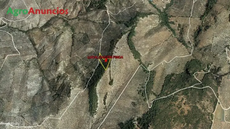 Venta  de Finca de olivos en Jaén