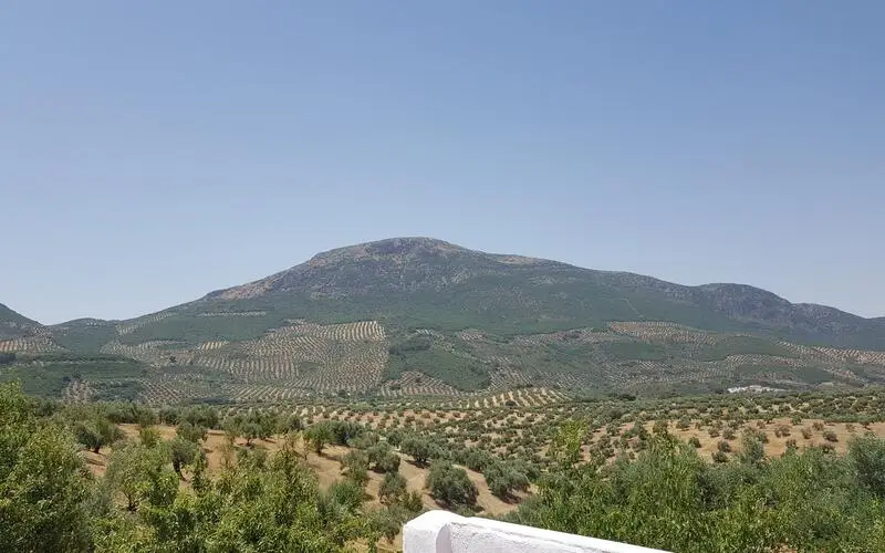 Adosado en Las Carrasca Jaen con Patio y Terraza