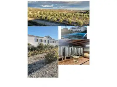 Hotel Rural con Bodega en Almer

