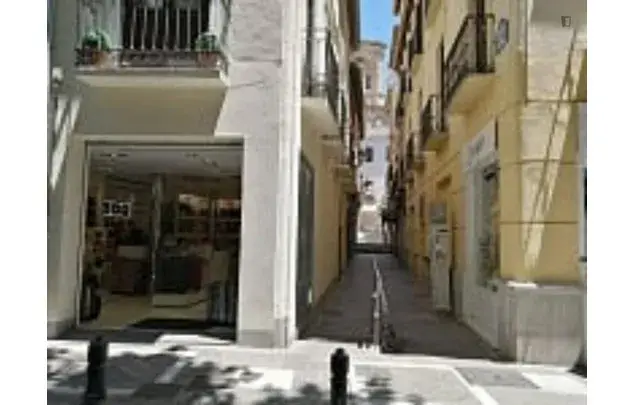Alquiler Apartamento 1 Dormitorio Granada Centro Histórico