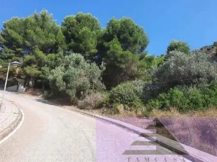 Venta 7 Parcelas Urbanas Jalón Alicante 14126m²