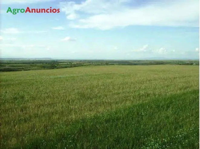 Venta  de Finca de secano de uso agrario en Huesca