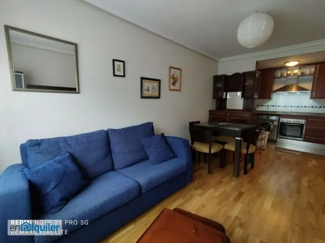 Alquiler Piso Montecerrao Oviedo 1 Dormitorio Plaza Garaje