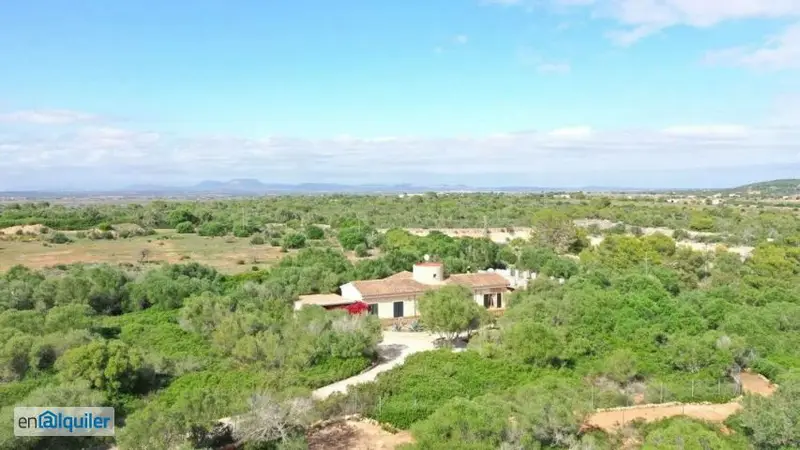Finca Rustica Colonia Sant Jordi Mallorca 5 Dormitorios Piscina Jardin