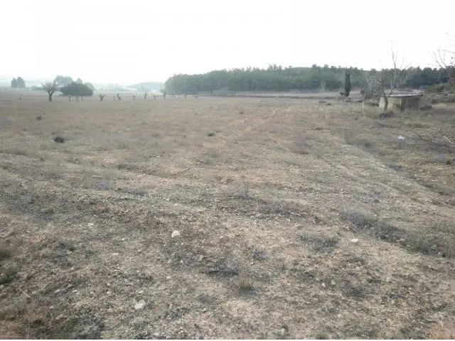 Parcela en Los Espetones Almansa 23000m2